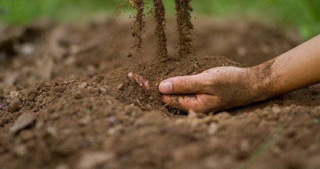 25 LT (15KG) %100 DOĞAL TINLI BAHÇE TOPRAĞI (3'TE 1 KEÇİ GÜBRESİ KATKILI)