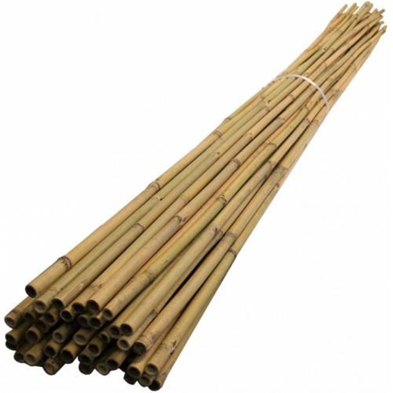 Fidan Destek Çubuğu Kamış (Ucu sivriltilmiş) 180-190cm 50 ADET