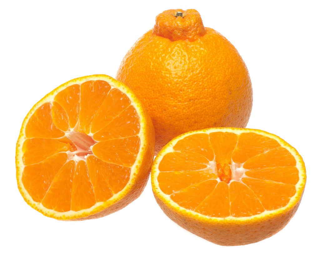 Tüplü Dekopon Mandalina Fidanı