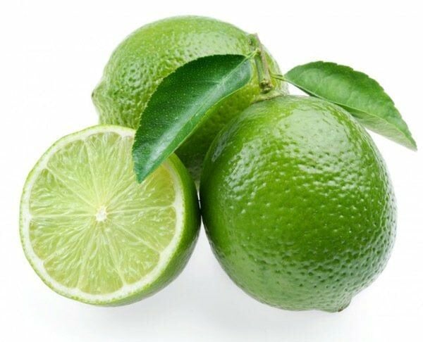 Tüplü Aşılı Lime Tahiti Limequat  Fidanı  (2 YAŞ 50-70 CM BOY)