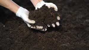 %100 Doğal Katı %100  Solucan Gübresi 25 LİTRE(10 Kg)