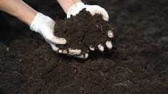 %100 Doğal Katı %100  Solucan Gübresi 25 LİTRE(10 Kg)