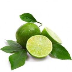 2 YAŞ TÜPLÜ ÇEKİRDEKSİZ MEKSİKA LİME LİMON FİDANI