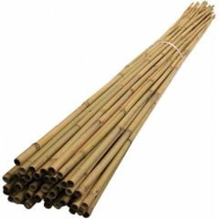 Fidan Destek Çubuğu Kamış (Ucu sivriltilmiş) 180-190cm 50 ADET